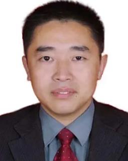 胡豹