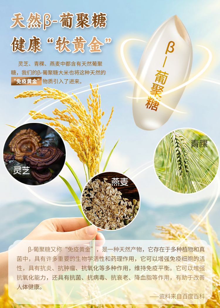 详情2.jpg